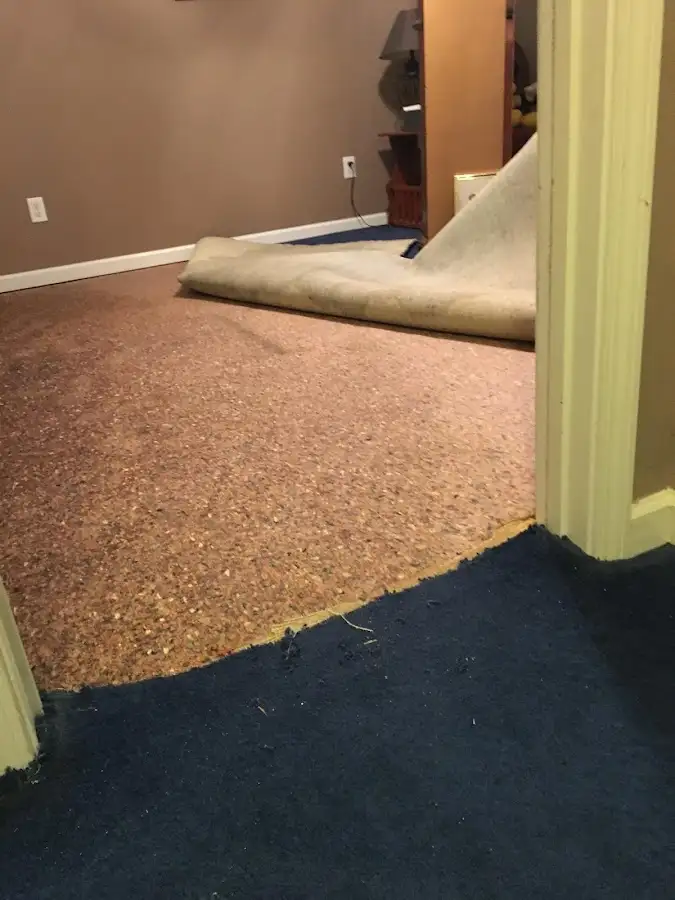 Carpet pad removal revealing water damage during Water Mitigation Services in Dulles Town Center